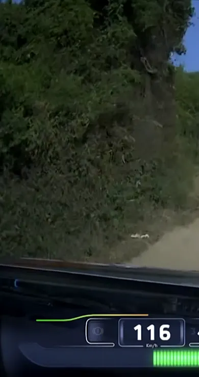 Carousel Slide Image of SS1 Full Stage Replay | Rally Italia Sardegna 2025