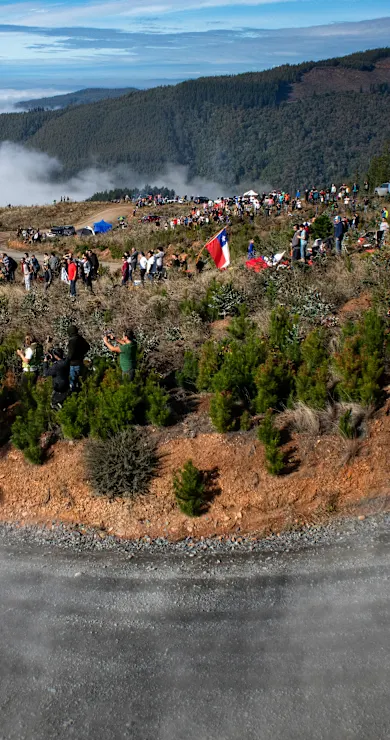 Carousel Slide Image of Classic Stage Highlights: SS8 in 2019 | Rally Chile Bio Bío 2025