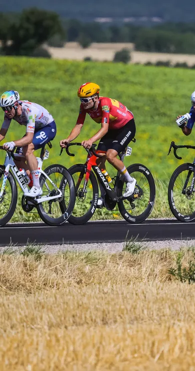 Carousel Slide Image of Neuer Tour-Rekord! | Highlights - 11. Etappe