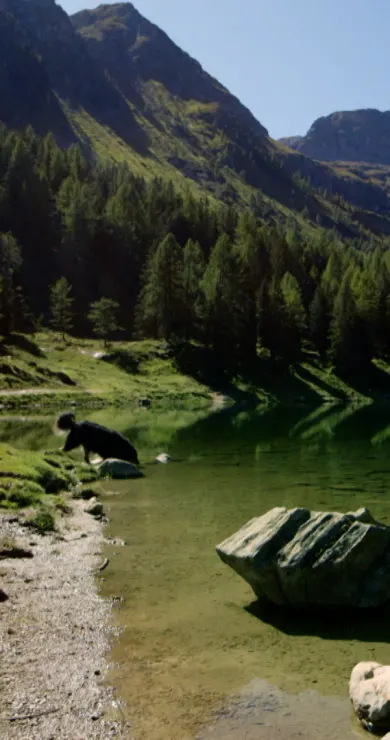 Carousel Slide Image of Paradies Bergsee