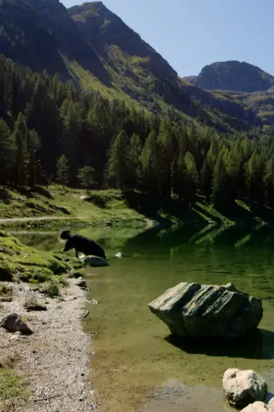 Carousel Slide Image of Paradies Bergsee