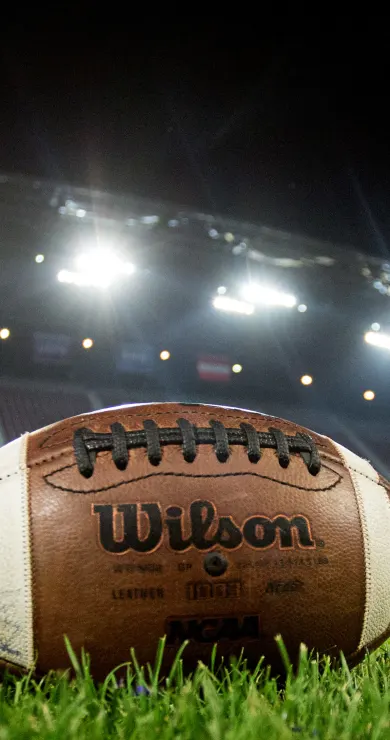 Carousel Slide Image of NFL Preseason: Analyse