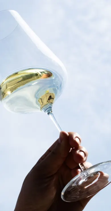 Carousel Slide Image of Wein wird wohl teurer