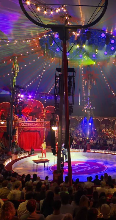 Carousel Slide Image of 50 Jahre Roncalli: Manege frei in Wien