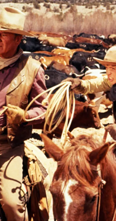 Carousel Slide Image of Die Cowboys