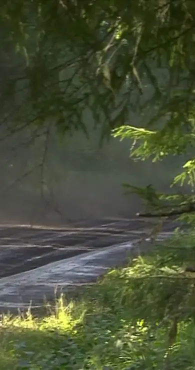 Carousel Slide Image of Saturday Afternoon Recap | Rally Finland 2023
