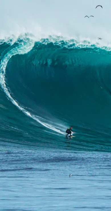 Carousel Slide Image of Chumbo: Made for Big Wave Surfing