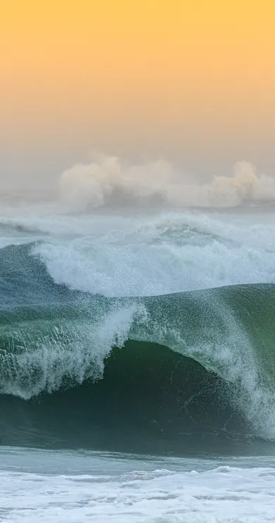 Carousel Slide Image of The Bottom Line