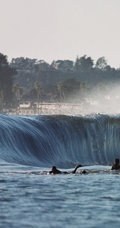 Carousel Slide Image of Surfers' Blood