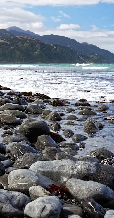 Carousel Slide Image of Drive Thru New Zealand