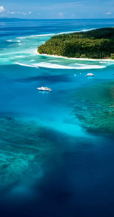 Carousel Slide Image of Poetic Silence