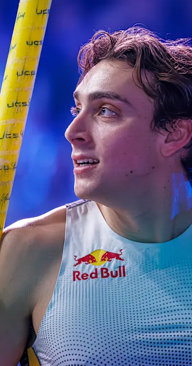 Carousel Slide Image of Born to Fly