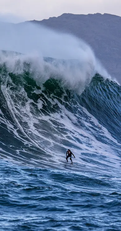 Carousel Slide Image of Beneath the Surface