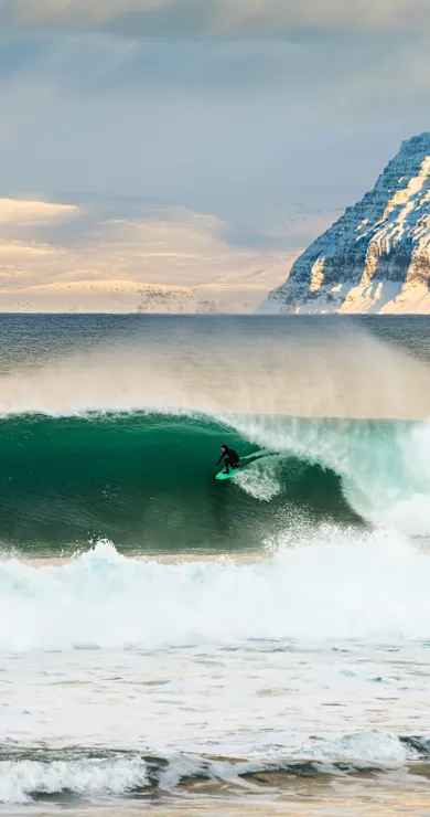 Carousel Slide Image of Under an Arctic Sky
