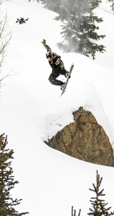 Carousel Slide Image of Mr. Plant