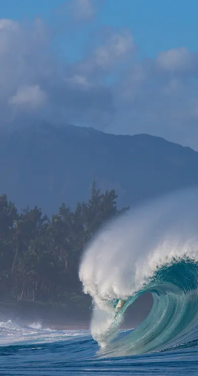 Carousel Slide Image of Peaches