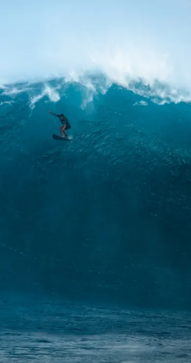 Carousel Slide Image of Jaws dreht auf für den Herbst