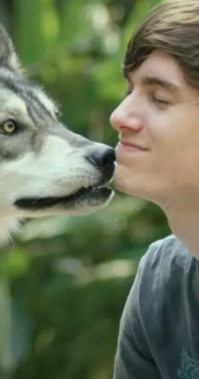 Carousel Slide Image of Learning with wolves