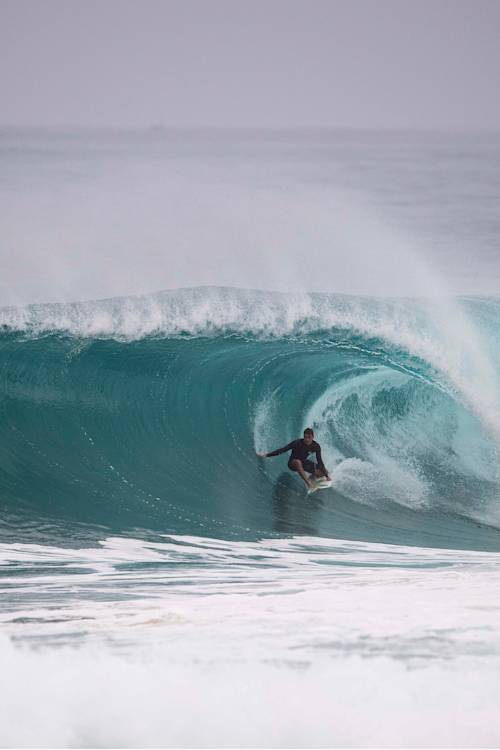 Four Hawaiians face off