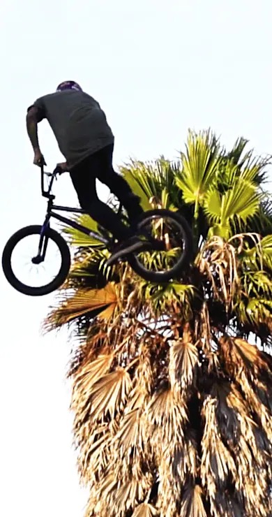 Carousel Slide Image of Attack of the drone