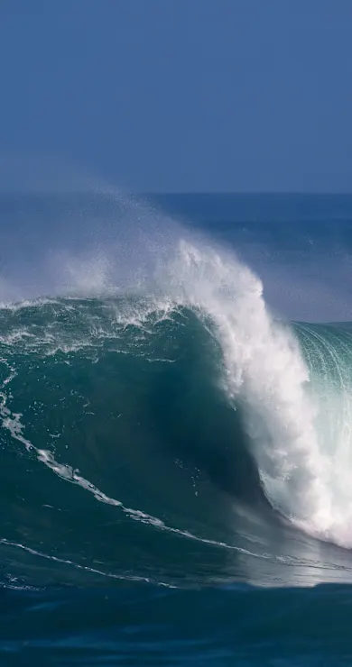 Carousel Slide Image of Proving ground (part 2)