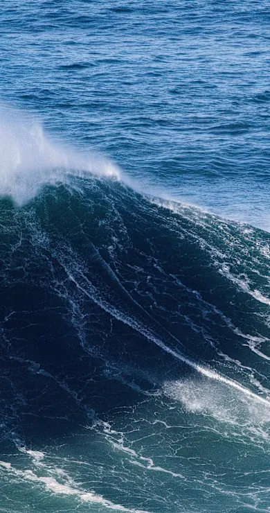 Carousel Slide Image of Aloha Mr Lenny