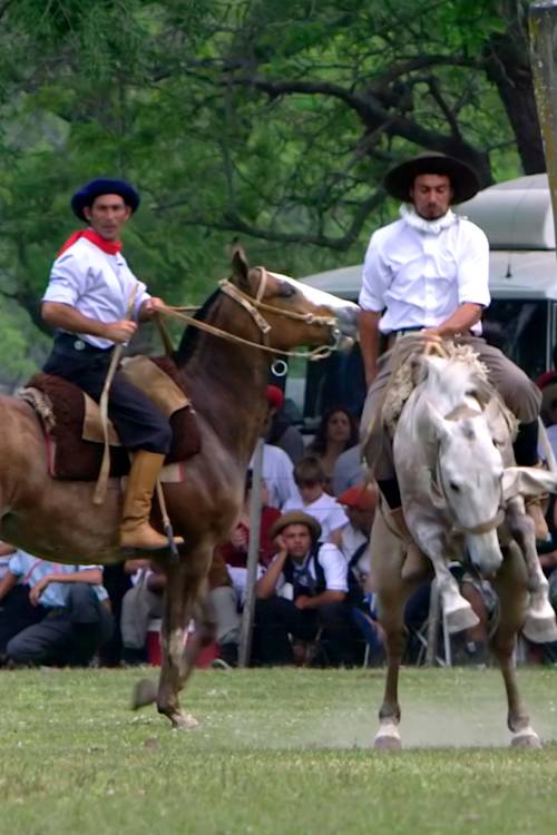 Fiesta de la Tradición