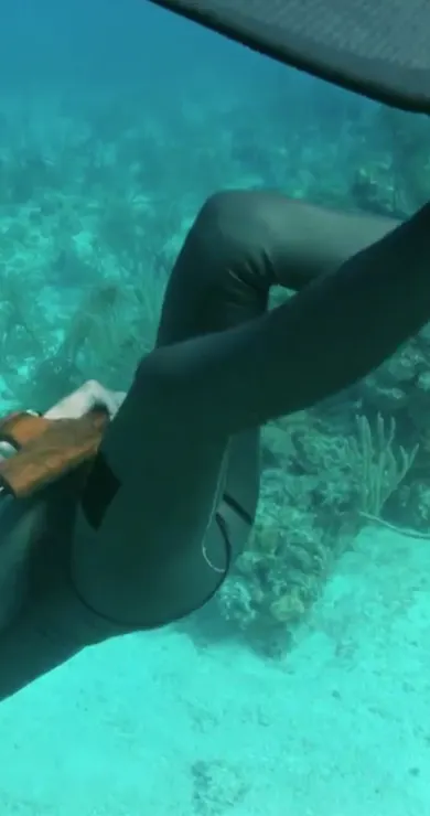 Carousel Slide Image of Free diver