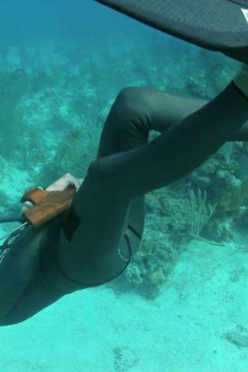 Free diver