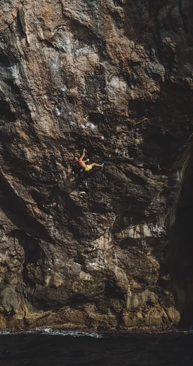 Carousel Slide Image of Black Pearl 