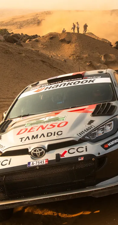 Carousel Slide Image of Fortune favours the brave