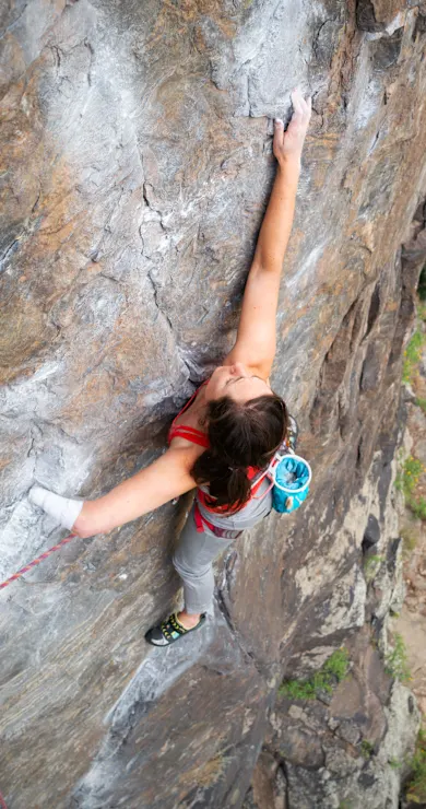 Carousel Slide Image of Stumped