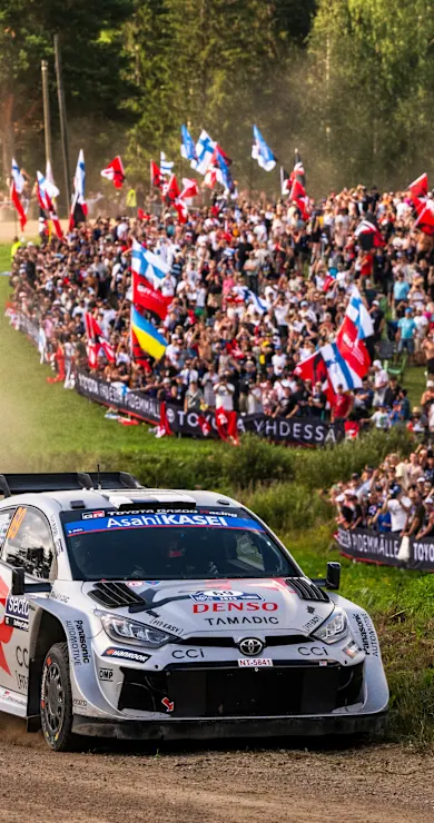 Carousel Slide Image of Cause and effect