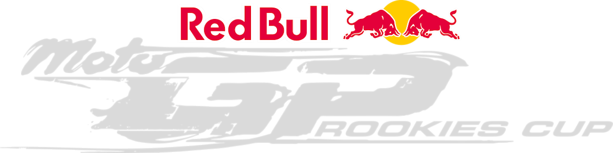 Red Bull MotoGP™ Rookies Cup 2020