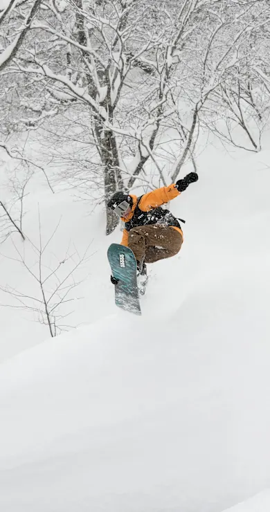 Carousel Slide Image of Natural Selection Tour
