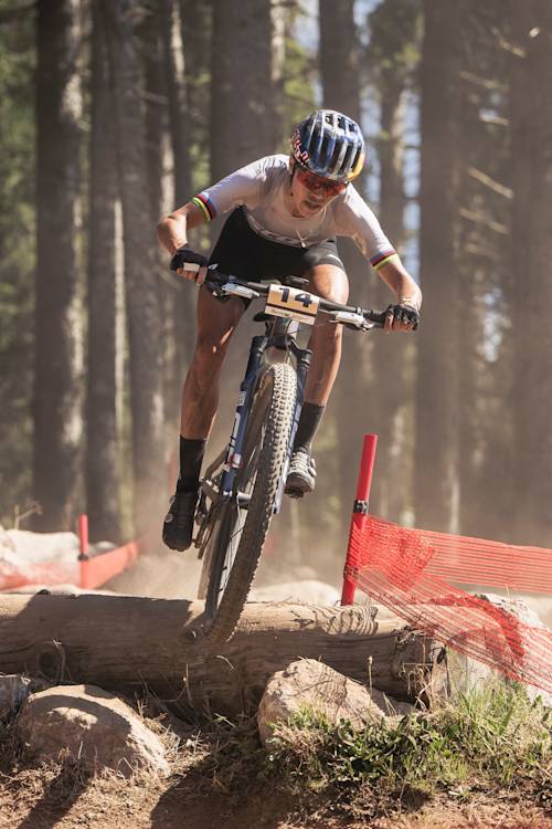 UCI Mountain Bike World Series