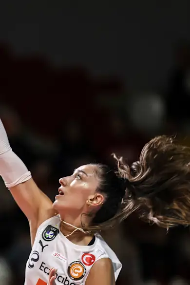 Carousel Slide Image of Volleyball Champions League
