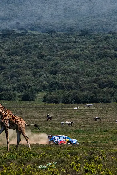 Carousel Slide Image of Championnat du monde des rallyes WRC