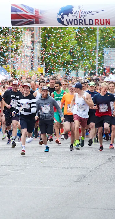 Carousel Slide Image of Wings for Life World Run