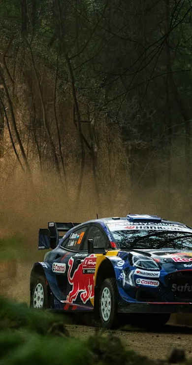 Carousel Slide Image of FIA World Rally Championship