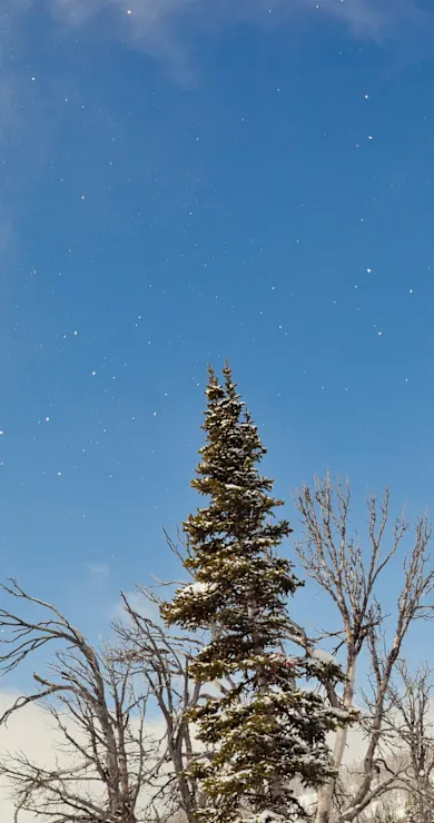 Carousel Slide Image of The Art of Flight
