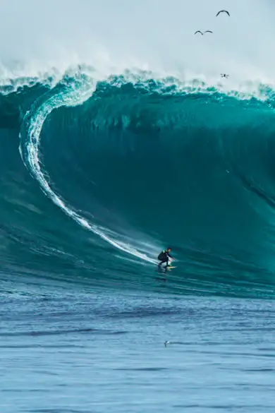 Carousel Slide Image of Chumbo: Made for Big Wave Surfing