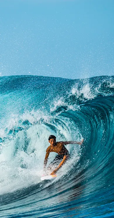 Carousel Slide Image of Becoming Bronson