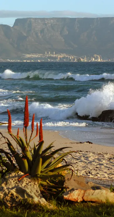Carousel Slide Image of Drive Thru South Africa
