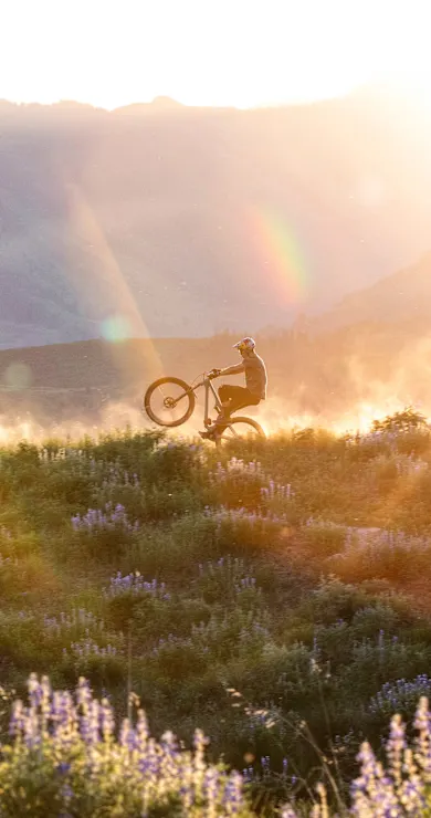 Carousel Slide Image of A Biker's Ballad