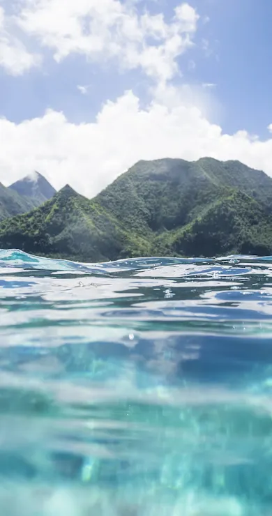 Carousel Slide Image of The Modus Mix