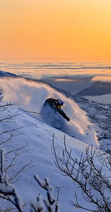 Carousel Slide Image of A Foreign Native