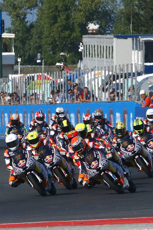Red Bull Rookies Cup 2023 - Race 14 - MISANO