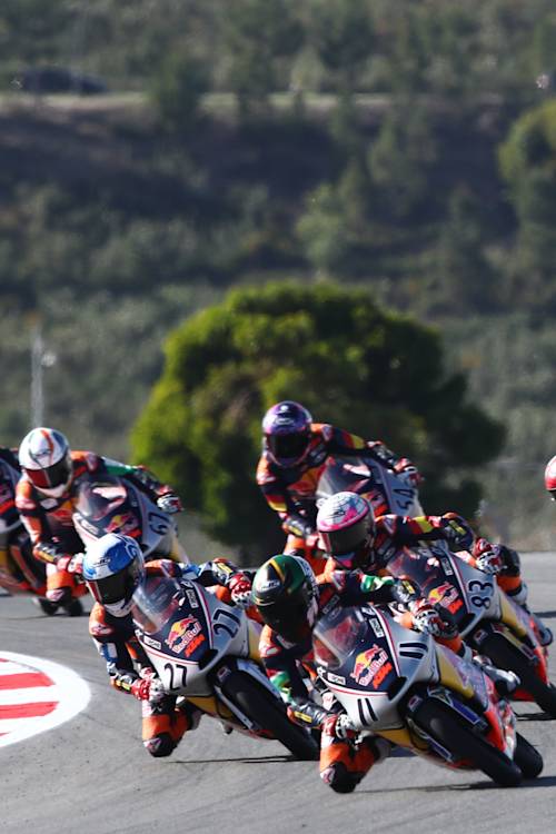 Red Bull Rookies Cup 2023 - Race 1 - PORTIMAO 