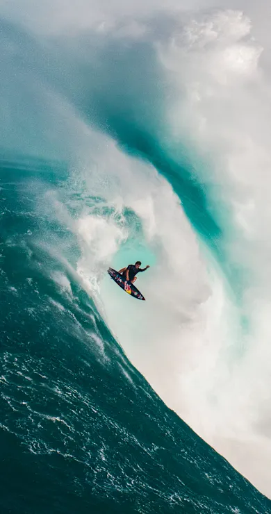 Carousel Slide Image of Ao vivo